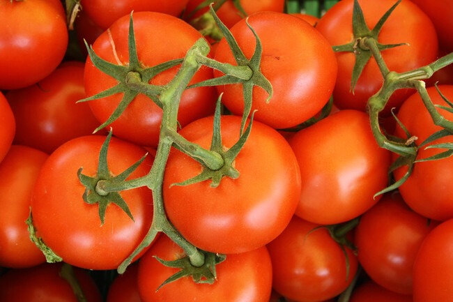 El tomate: cuáles son los beneficios del alimento estrella del verano